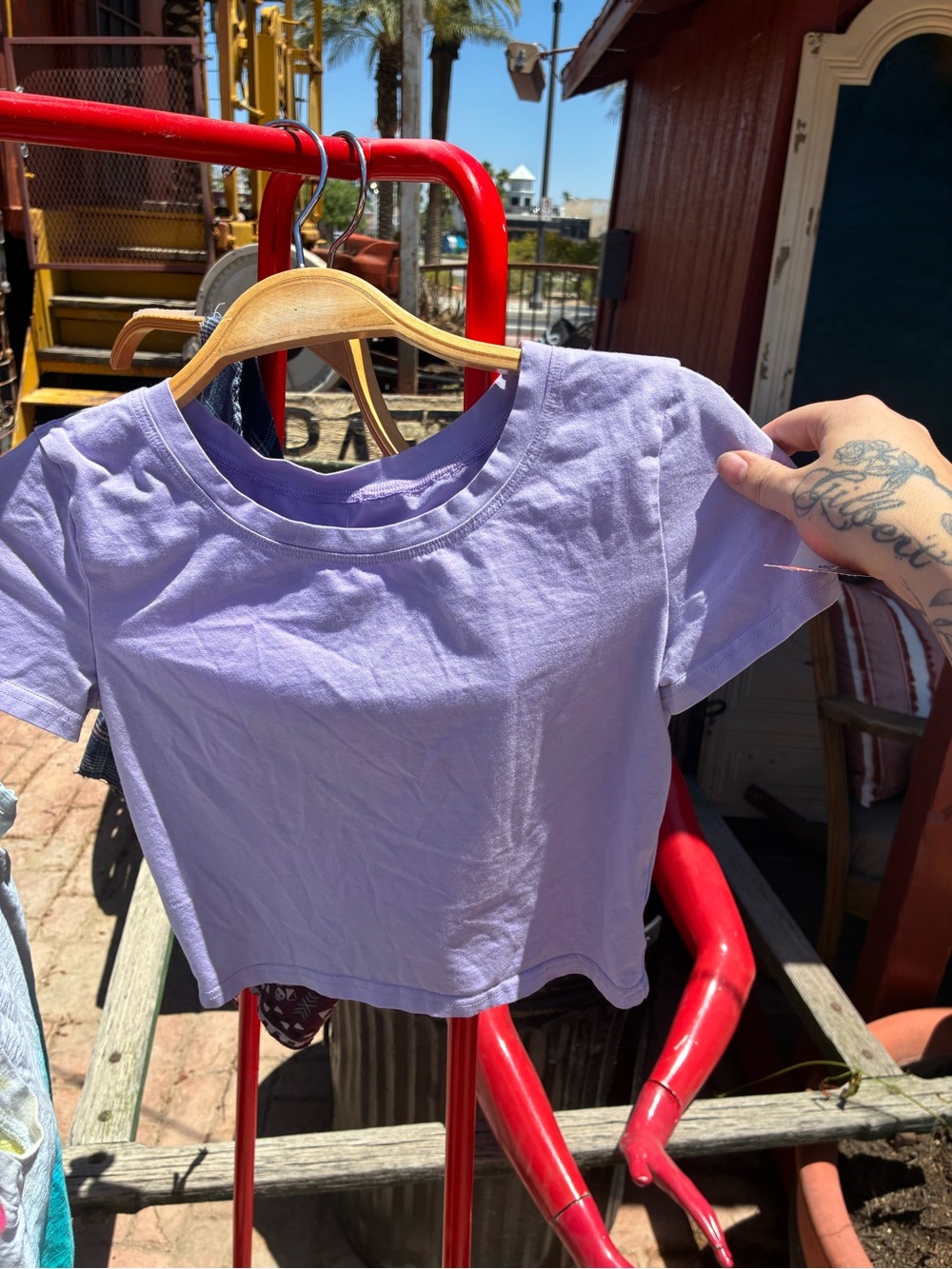 Lavender Crop Tee - Women's Crewneck Short Sleeve